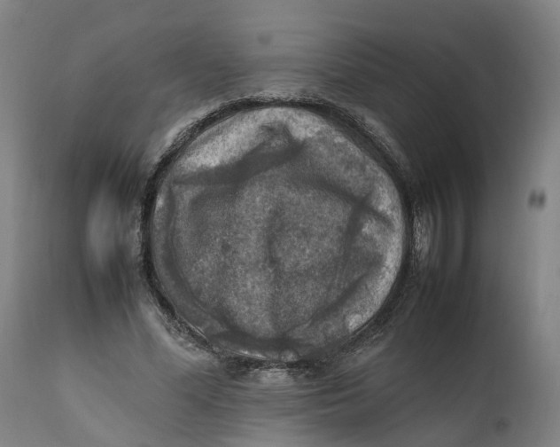X0000111600588200908061416