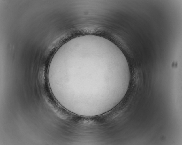 X0000111600590200908061416