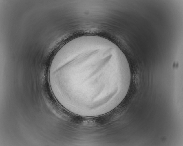 X0000111600591200908061416