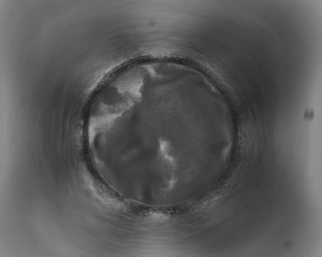X0000111600592200908061416