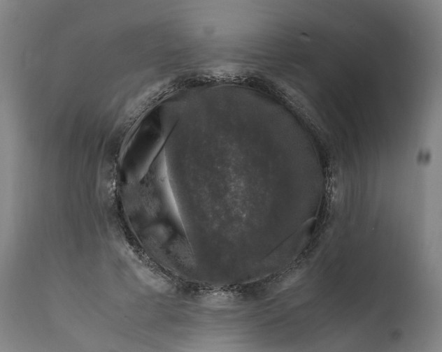 X0000111600593200908061416