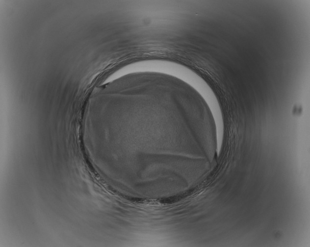 X0000111600595200908061416