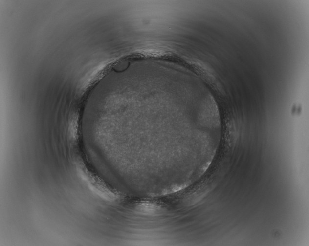 X0000111600596200908061416