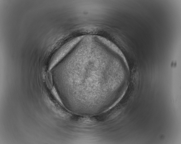 X0000111600597200908061416
