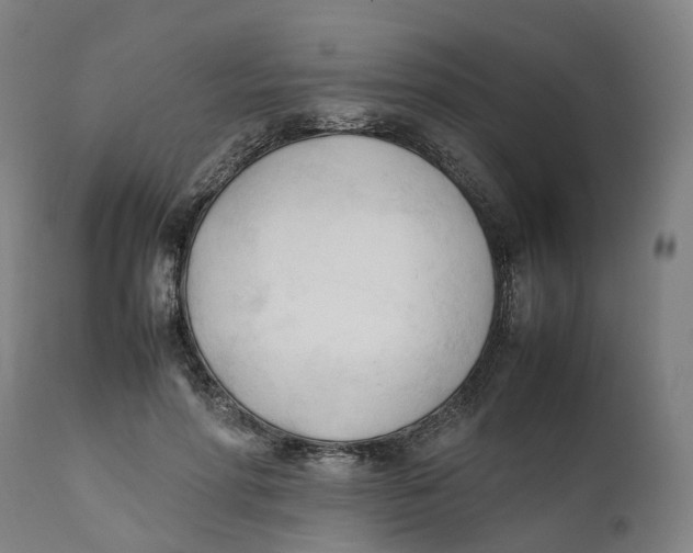 X0000111600598200908061416