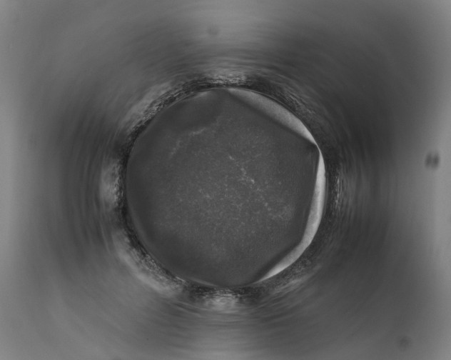 X0000111600600200908061416