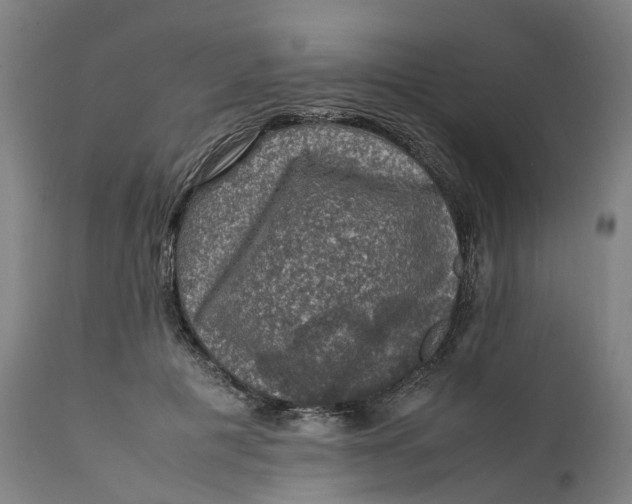 X0000111600601200908061416