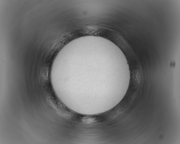 X0000111600602200908061416
