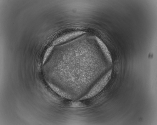 X0000111600605200908061416