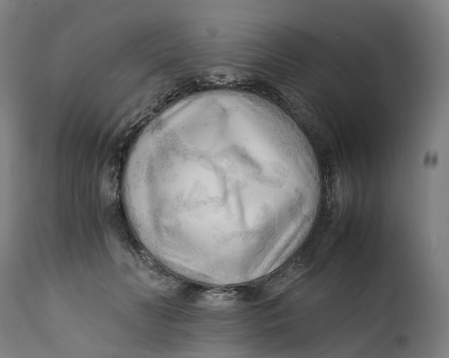 X0000111600606200908061415