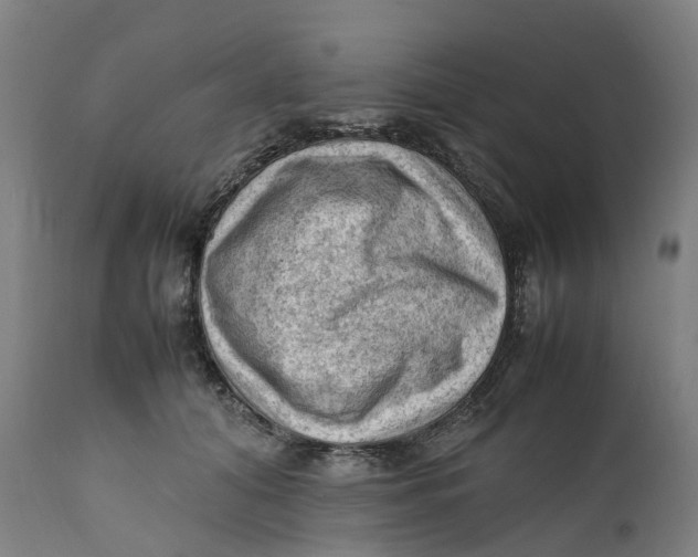 X0000111600608200908061415