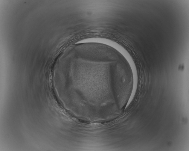 X0000111600609200908061415