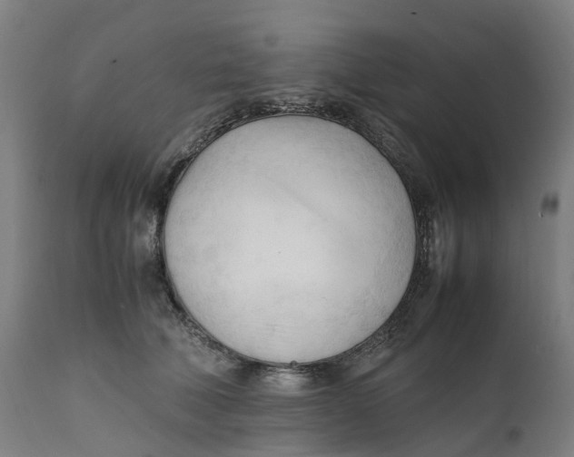 X0000111600610200908061415