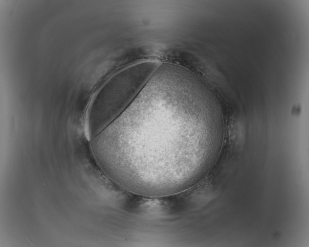 X0000111600611200908061415