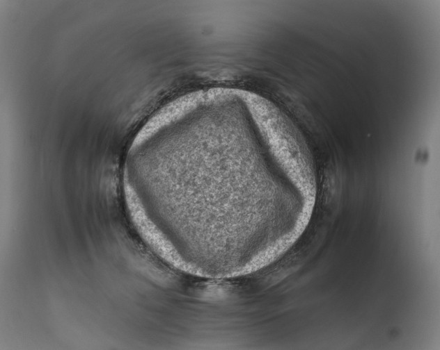 X0000111600612200908061415
