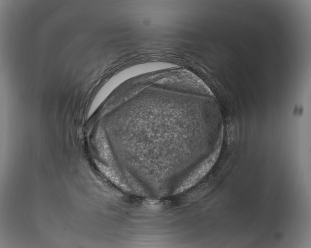 X0000111600613200908061415