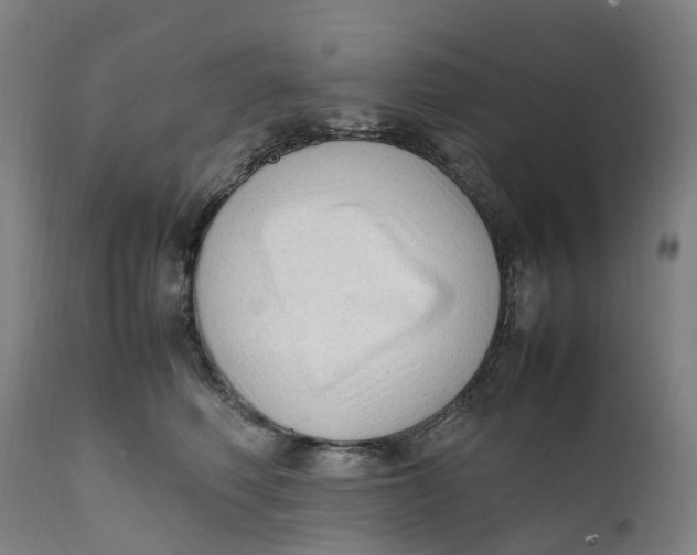 X0000111600614200908061415