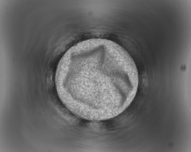 X0000111600615200908061415