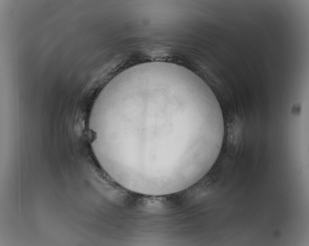 X0000111600618200908061415