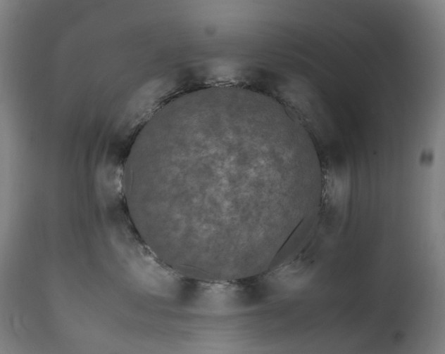 X0000111600621200908061415
