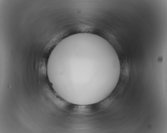X0000111600622200908061415