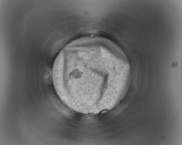 X0000111600624200908061415
