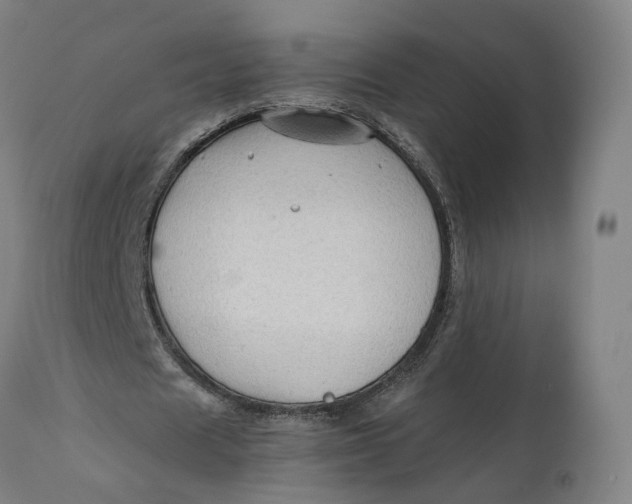 X0000111600625200908061415