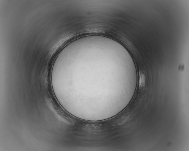 X0000111600627200908061415