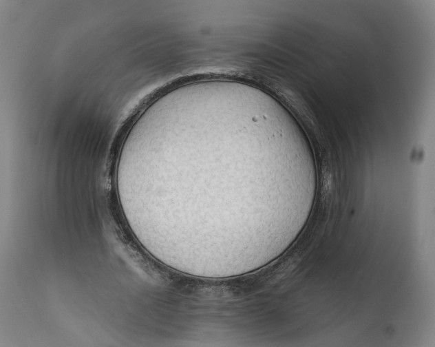 X0000111600628200908061415