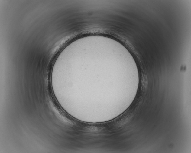 X0000111600629200908061415