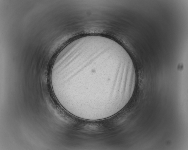 X0000111600631200908061415