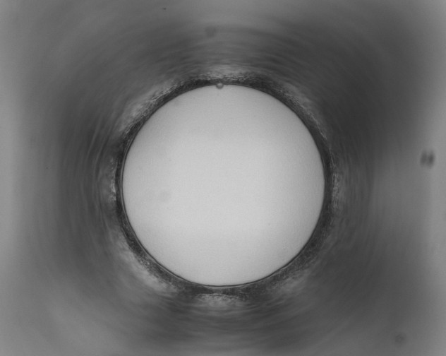 X0000111600633200908061415
