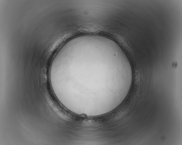 X0000111600634200908061415