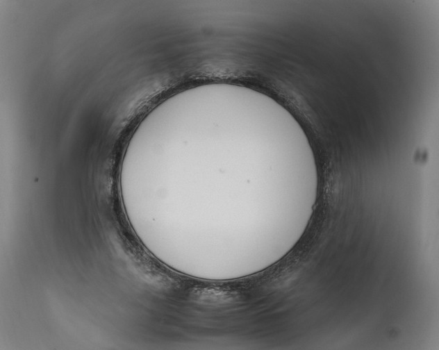 X0000111600635200908061415