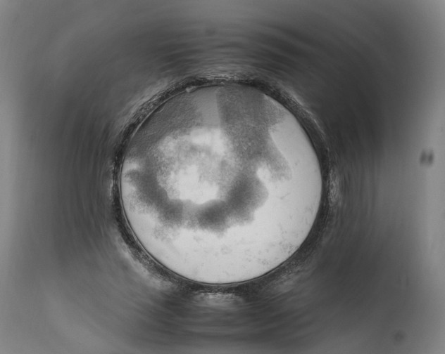 X0000111600637200908061415