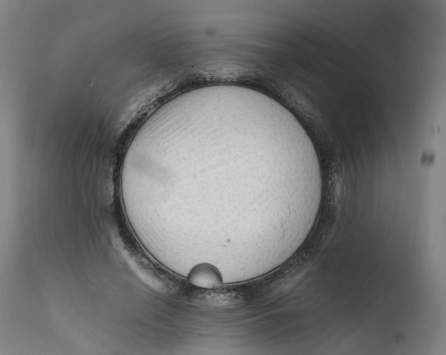 X0000111600638200908061415