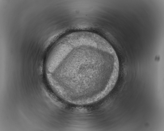 X0000111600640200908061415