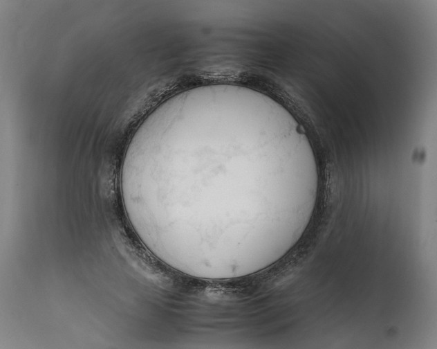 X0000111600641200908061415