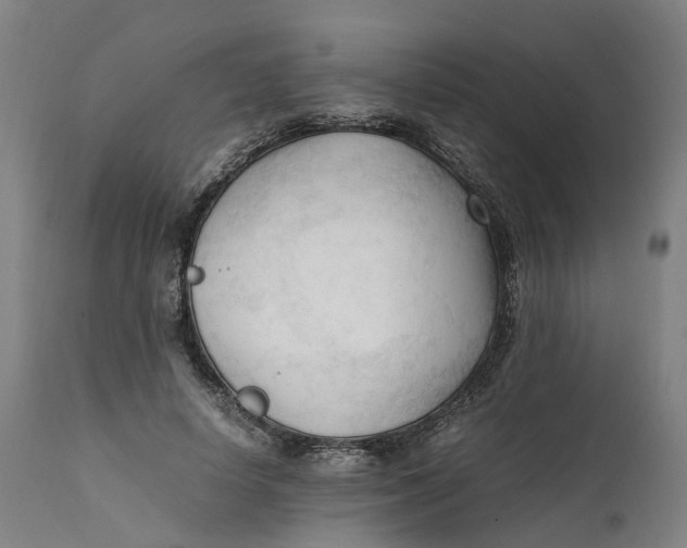 X0000111600642200908061415