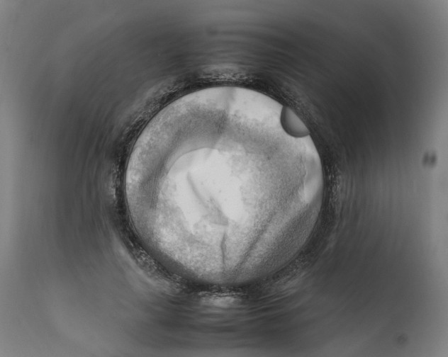 X0000111600643200908061415