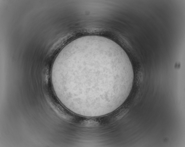 X0000111600644200908061415