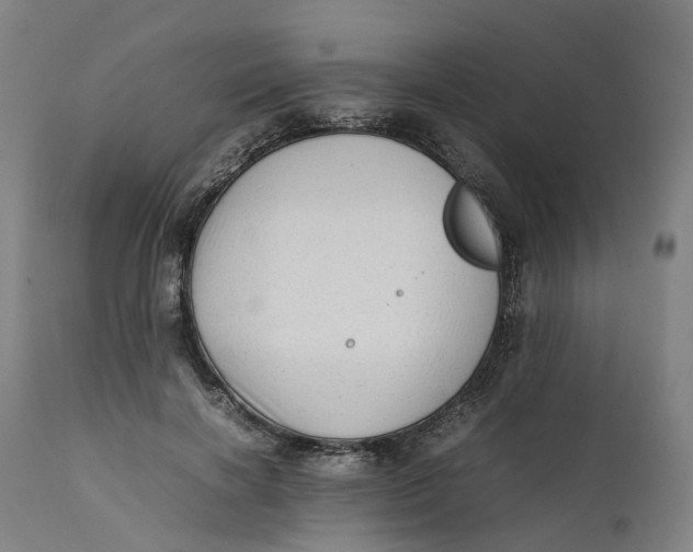 X0000111600646200908061415