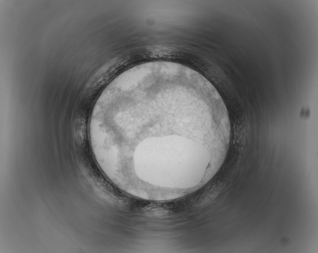 X0000111600648200908061415
