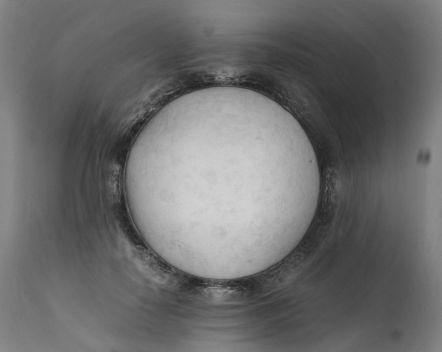 X0000111600650200908061415