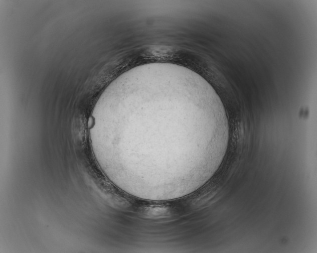 X0000111600651200908061415