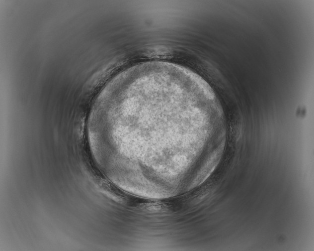 X0000111600652200908061415