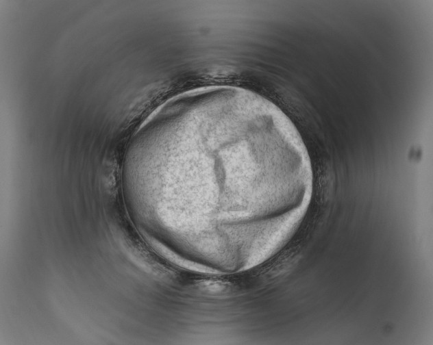 X0000111600654200908061415