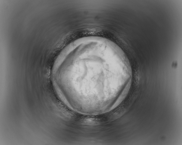 X0000111600657200908061415