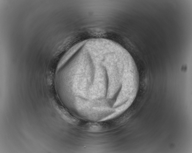 X0000111600658200908061415