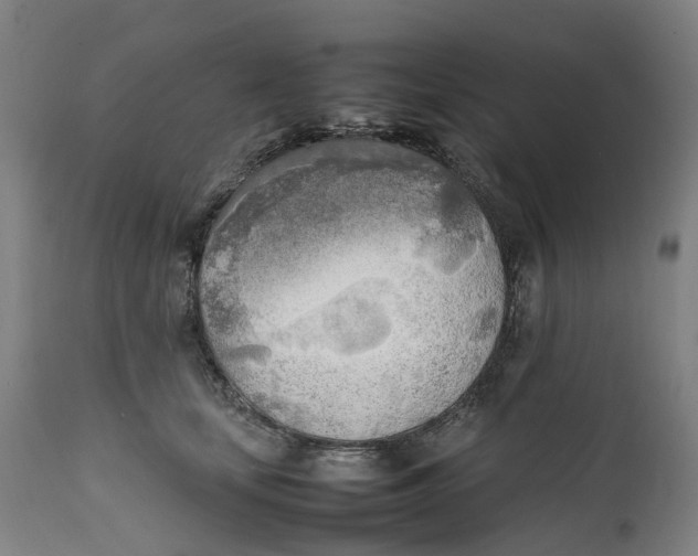 X0000111600659200908061415